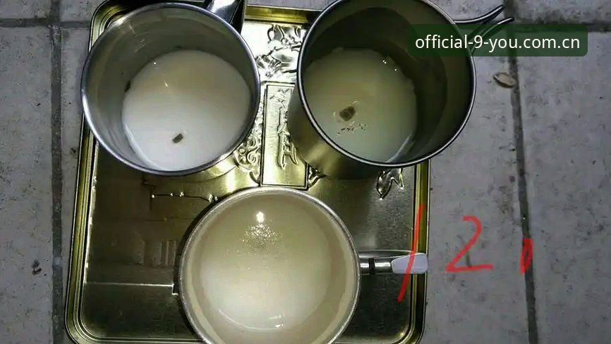 九游投注数据站替代 70%投票率与一座银杯的对比:皇马主席大选背后的数据真相